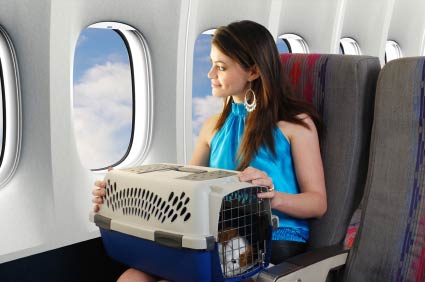 out-of-state-dog-training